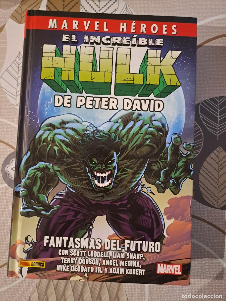 Comics: Marvel h&eacute;roes, el incre&iacute;ble Hulk de Peter David 6, fantasmas del futuro, Panini en muy buen estado