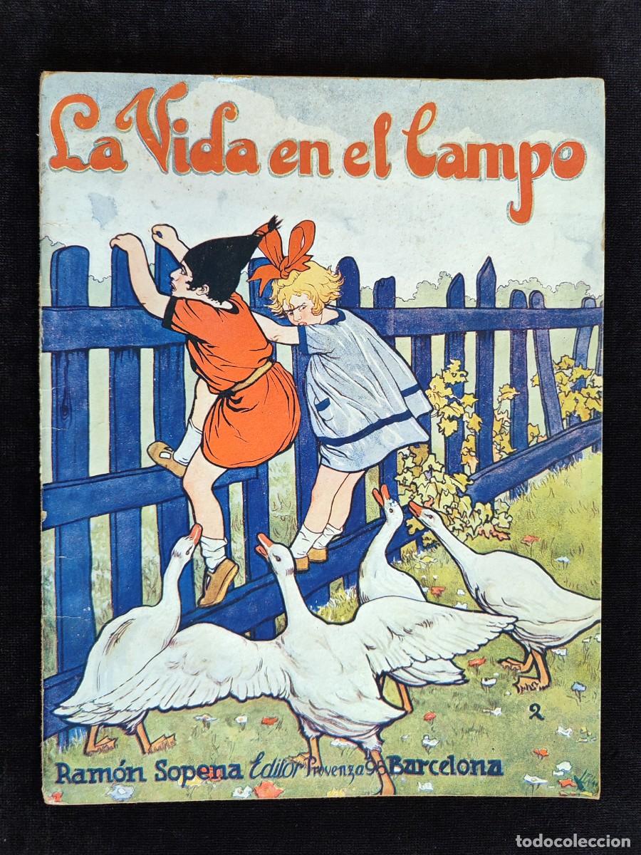 Comics: LA VIDA EN EL CAMPO. &iquest;QUI&Eacute;RE V. SER PINTOR? N&ordm; 2 ED. R. SOPENA, A&Ntilde;OS 30. CUADERNO PARA COLOREAR