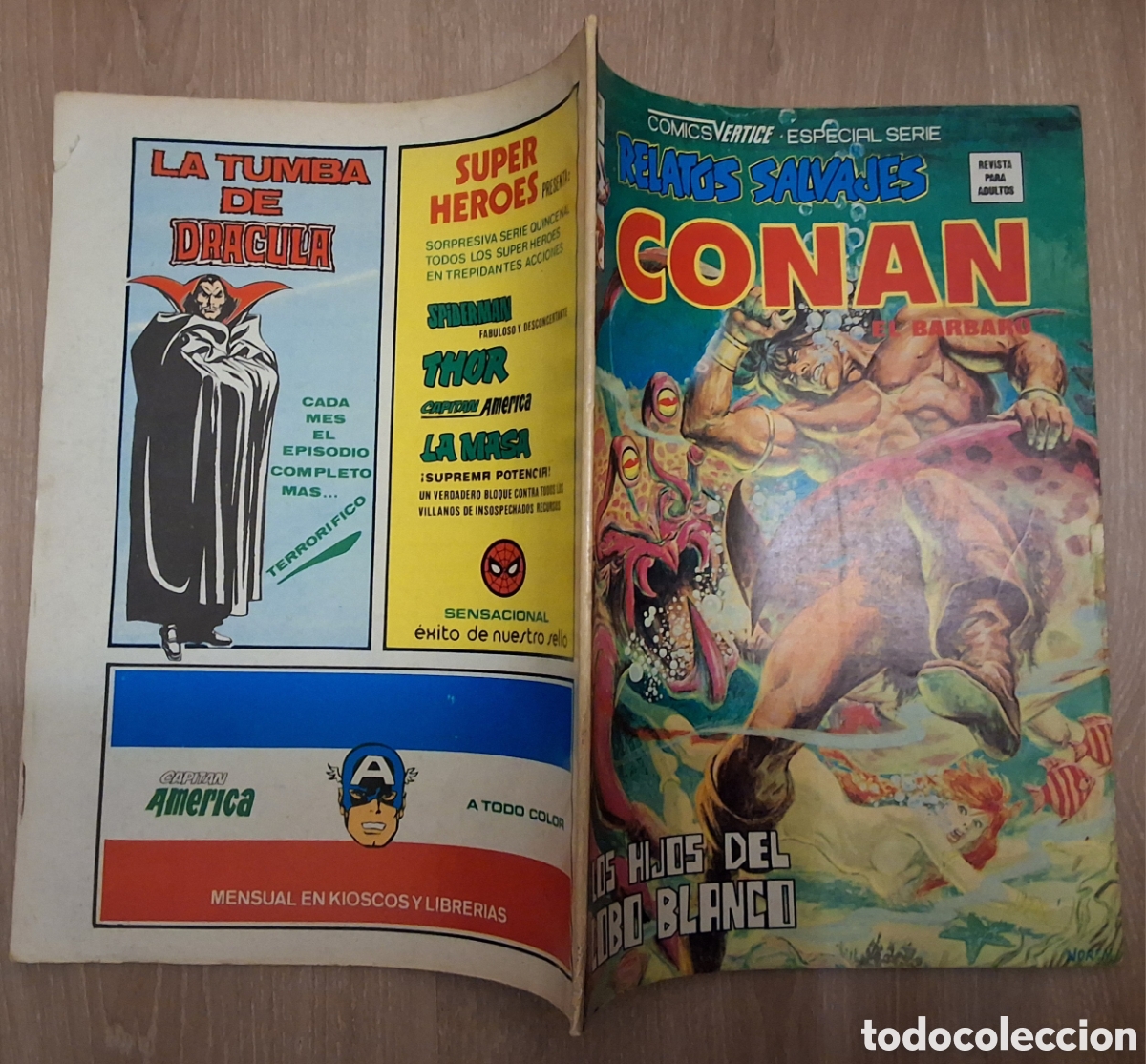 C&oacute;mics: Conan relatos salvajes comic volumen 1 n&uacute;mero 77 edita vertice