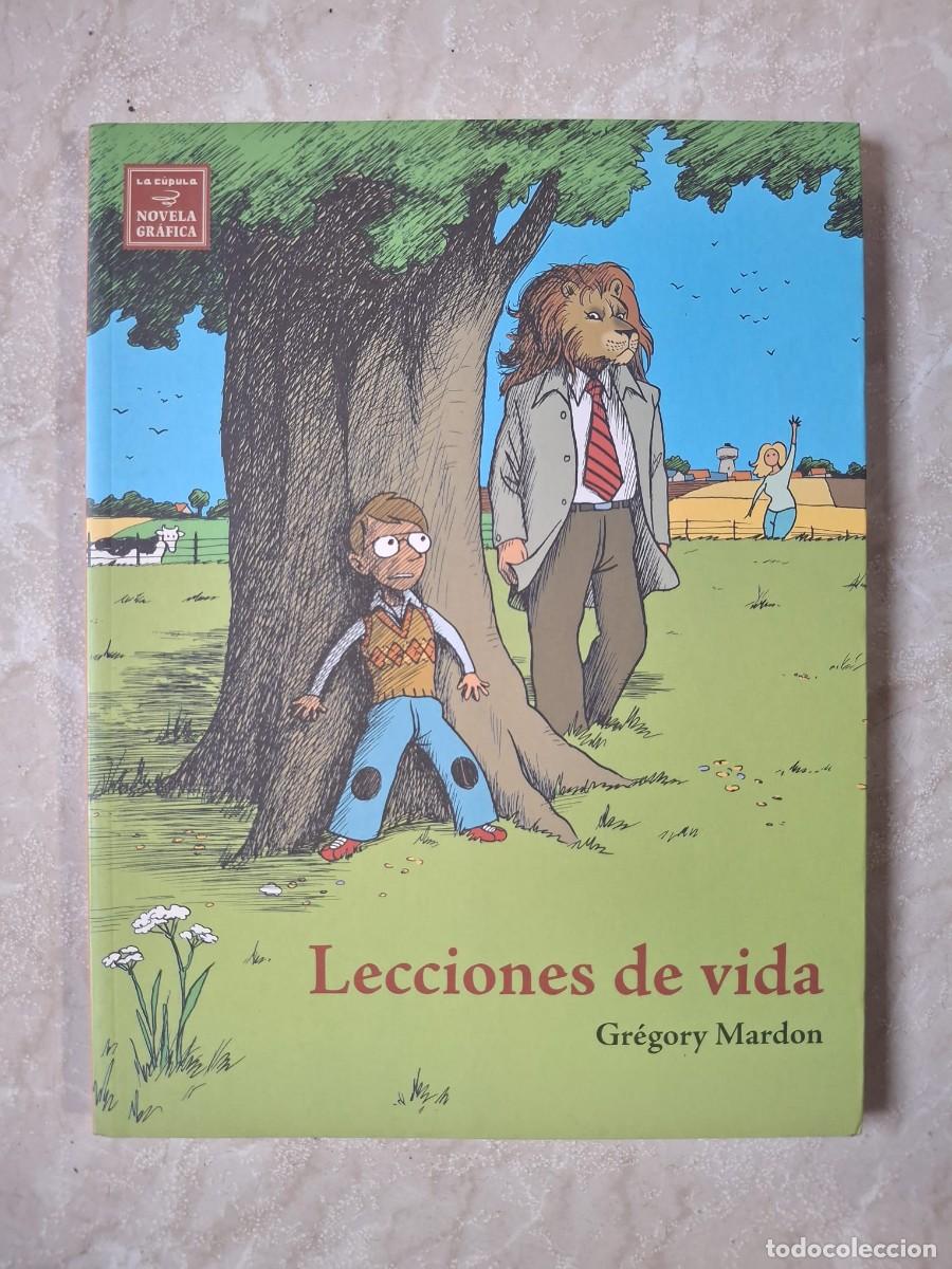 C&oacute;mics: COMIC NOVELA GRAFICA LECCIONES DE VIDA - Foto 1