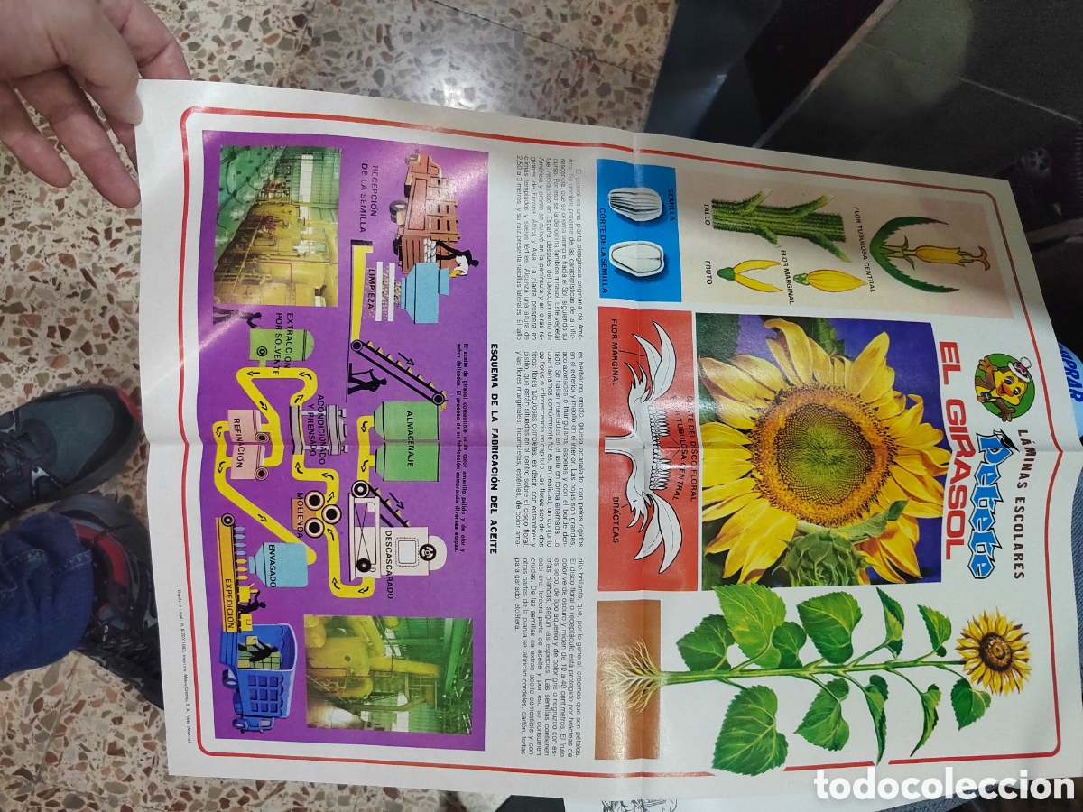 C&oacute;mics: Lote revistas y recortables petete - Foto 8