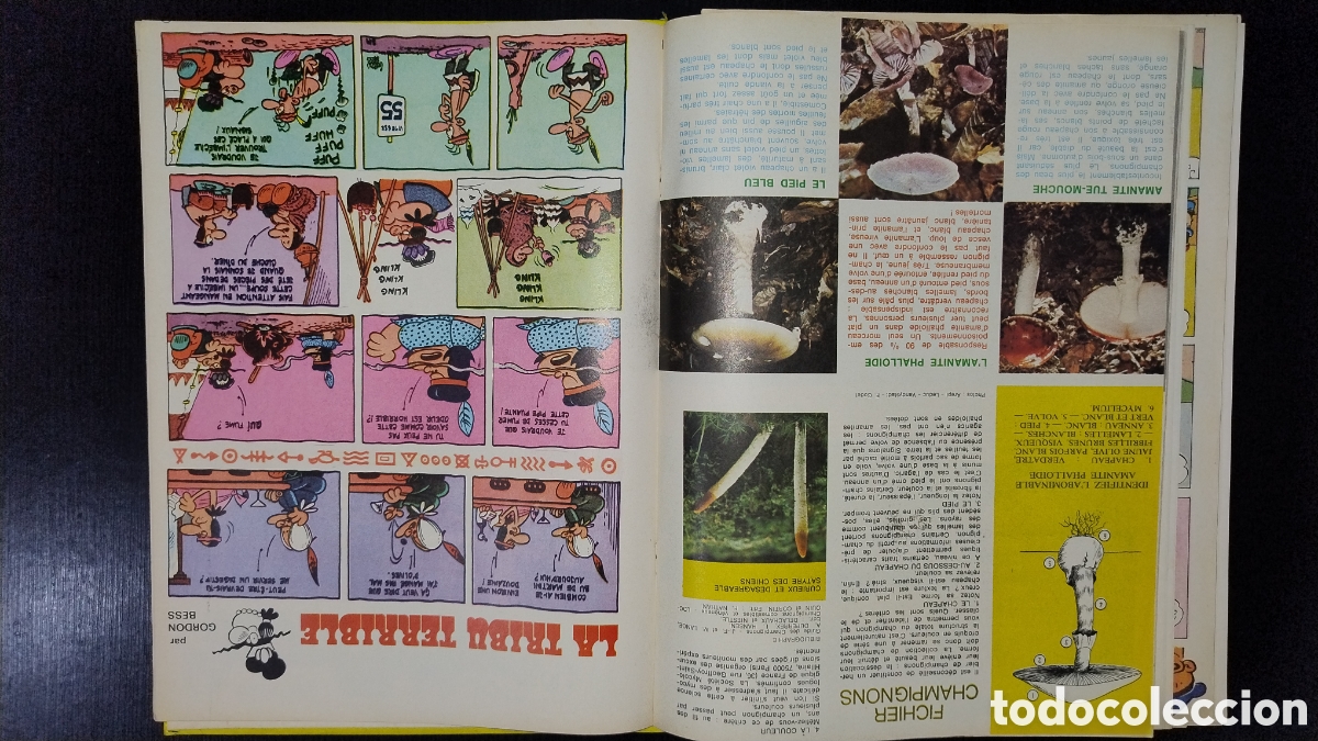C&oacute;mics: Tin tin nouveau &aacute;lbum N5 - Foto 17