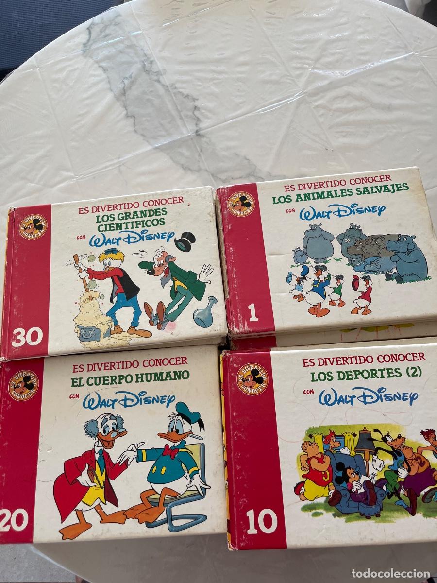 C&oacute;mics: Antiguo lote de 37 libros de Walt Disney. A&ntilde;o 1986.