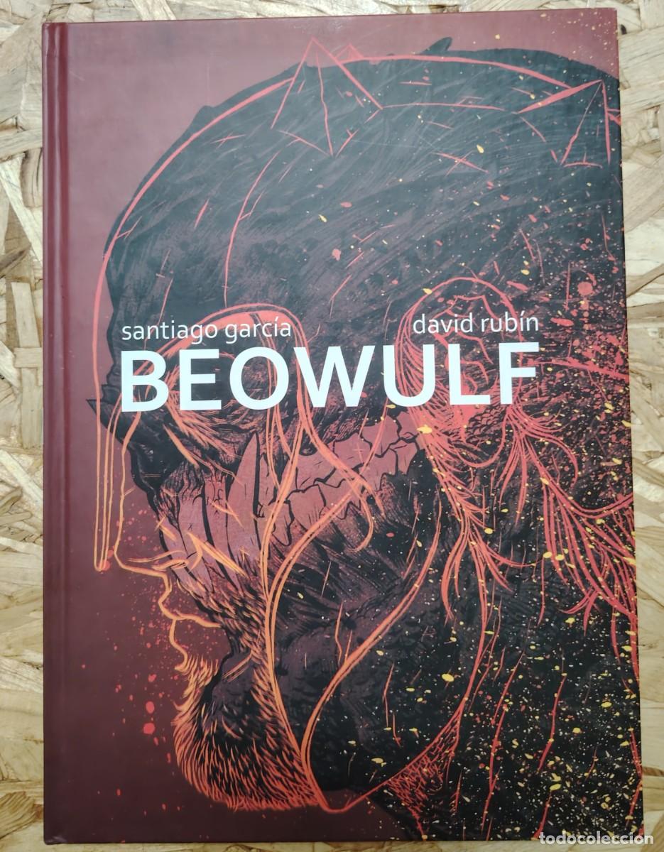 C&oacute;mics: Beowulf de Santiago Garc&iacute;a y David Rub&iacute;n. ASTIBERRI
