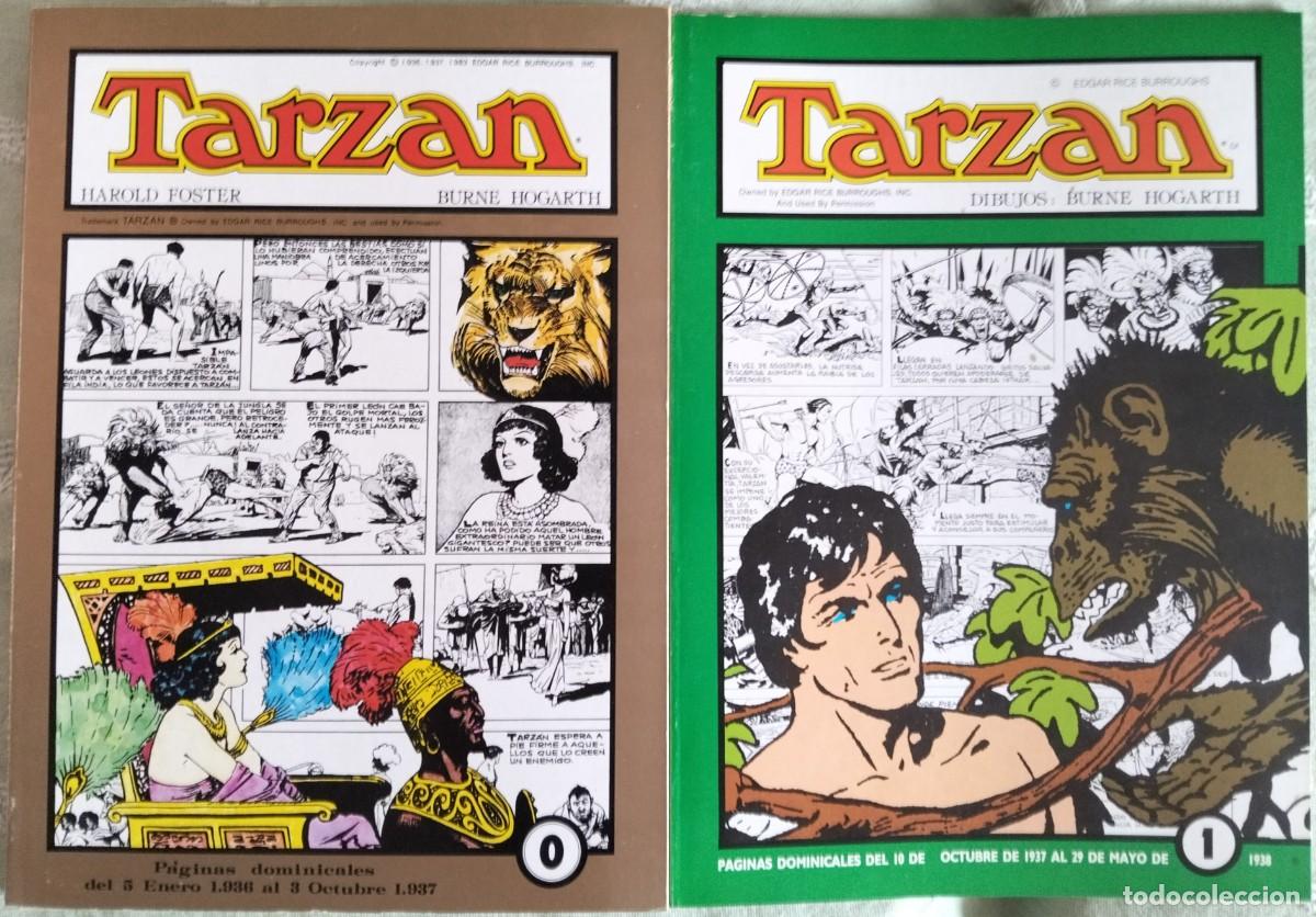 C&oacute;mics: GRANDES CL&Aacute;SICOS DE LOS COMICS DEL PASADO. TARZ&Aacute;N de Burne Hogarth. Nos. 0 a 7. (COLECCI&Oacute;N COMPLETA)
