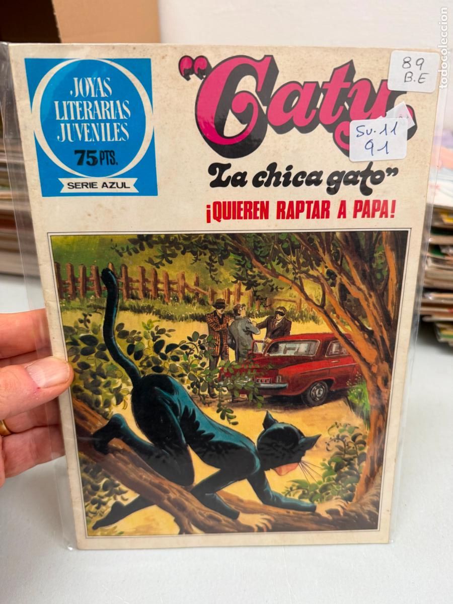 C&oacute;mics: JOYAS LITERARIAS JUVENILES SERIE AZUL NUMERO 89