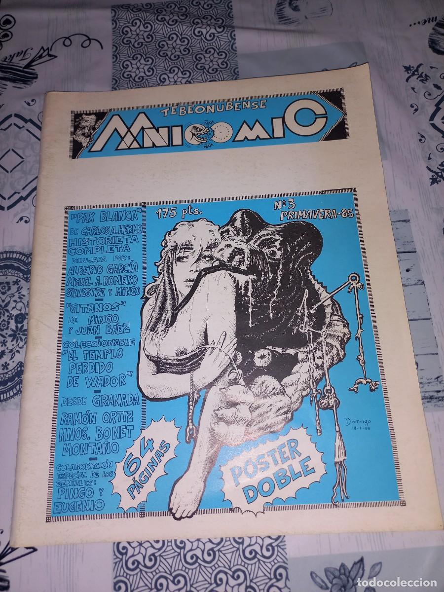 C&oacute;mics: MANICOMIC TEBEONUBENSE N&ordm; 3 HUELVA 1985