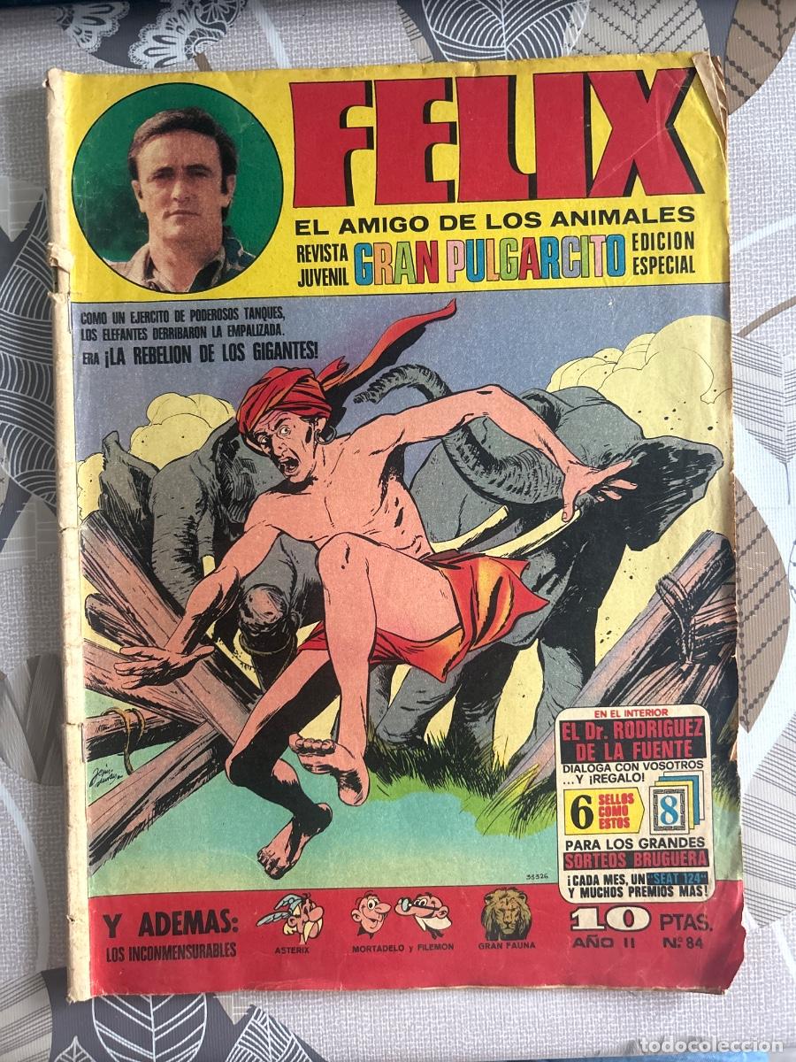 C&oacute;mics: Felix el amigo de los animales 84, gran pulgarcito, Bruguera Bolsa DA