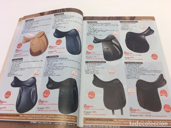 Coleccionismo deportivo: CATALOGO DE EQUITACION Y HIPICA - 2008 - ALVAREZ - Foto 3