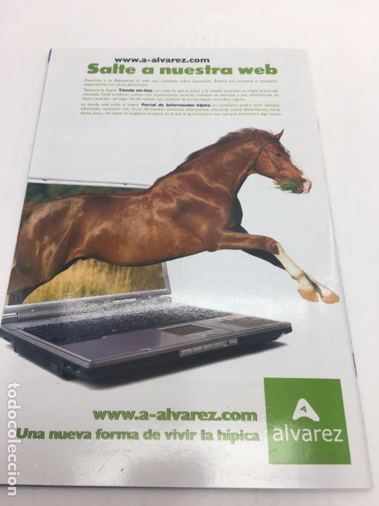 Coleccionismo deportivo: CATALOGO DE EQUITACION Y HIPICA - 2008 - ALVAREZ - Foto 7