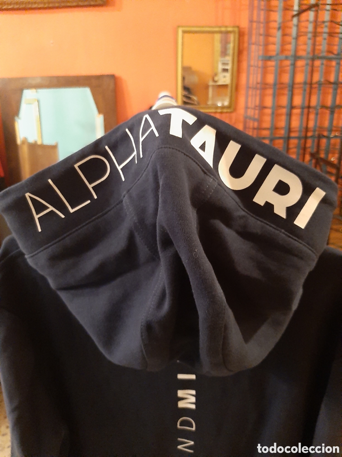 Coleccionismo deportivo: Sudadera oficial Alpha Tauri F1 Team - Foto 6