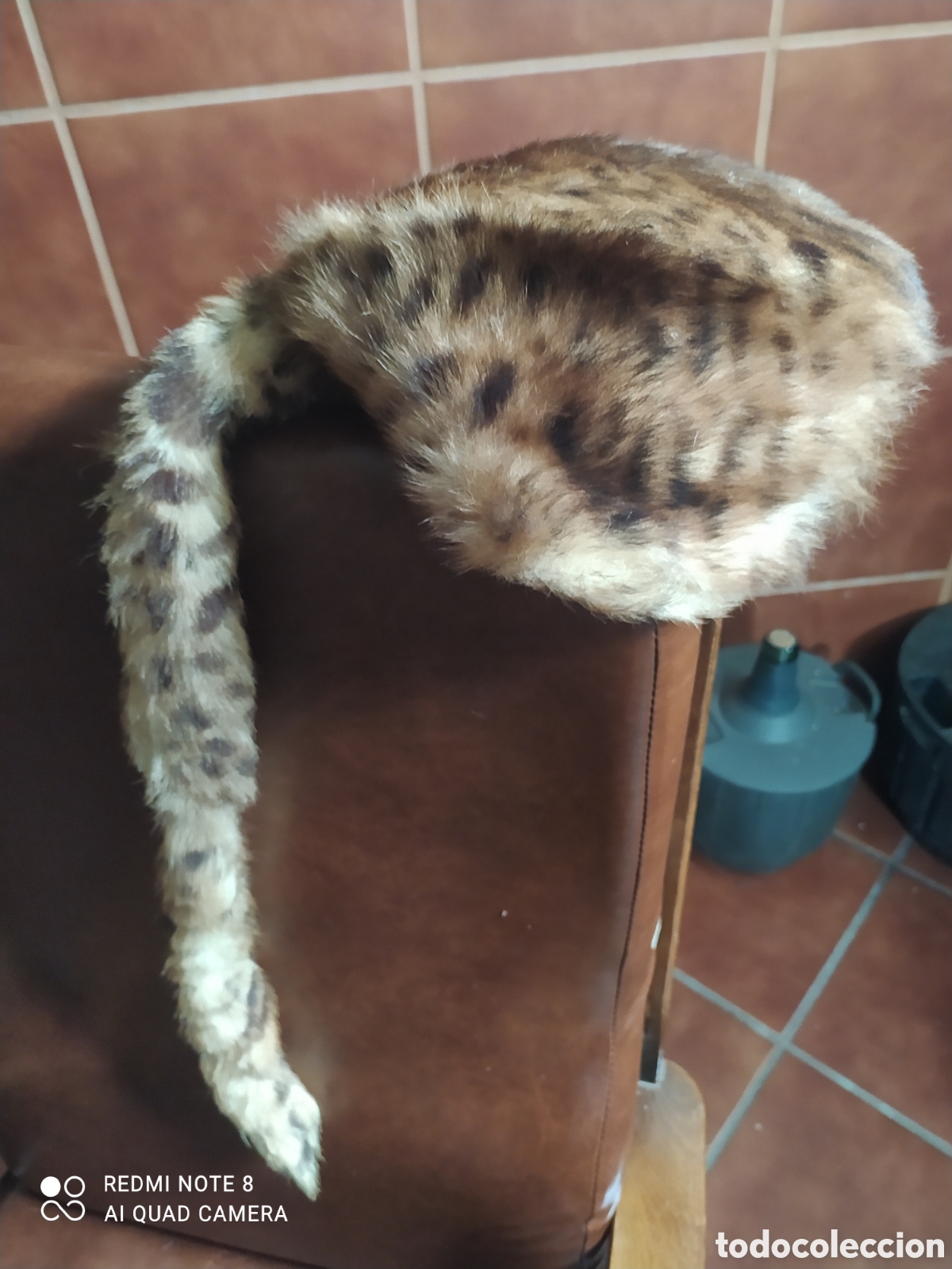 Coleccionismo deportivo: Gorro de trampero de piel Antiguo. - Foto 2