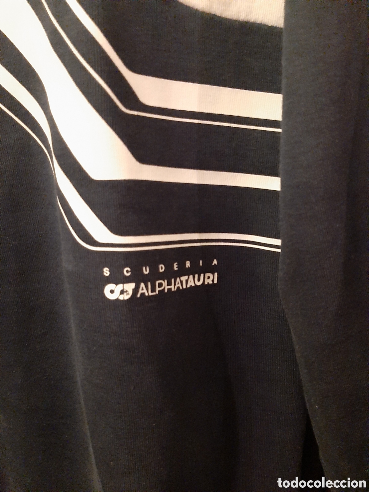 Coleccionismo deportivo: Sudadera oficial Apha Tauri F1 Team - Foto 3