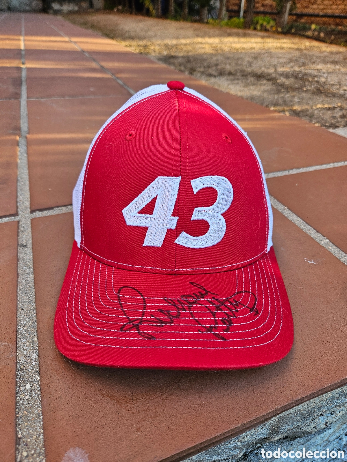 Sports collectibles: Gorra de camionero con la firma original del siete veces campe&oacute;n de la NASCAR Richard Petty