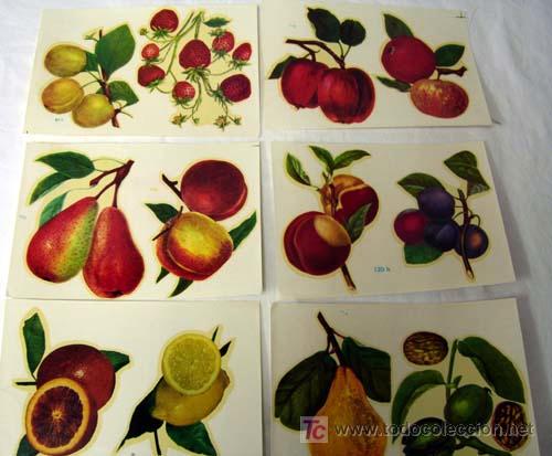 Coleccionismo cromos antiguos: Lote de 6 calcoman&iacute;as frutas de Chaveli - Foto 1