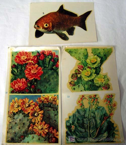 Coleccionismo cromos antiguos: 3 calcoman&iacute;as flores y pez de Chaveli - Foto 1