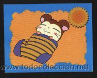 Coleccionismo cromos antiguos: cromo Hamtaro, Panini ( n&ordm; 19 ) - Foto 1
