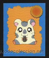 Coleccionismo cromos antiguos: cromo Hamtaro, Panini ( n&ordm; 8 ) - Foto 1