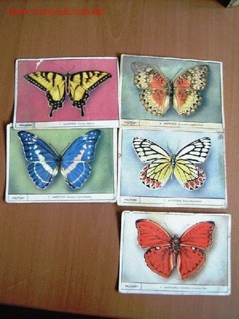 Coleccionismo cromos antiguos: GALLICROMO SERIE 3 MARIPOSAS - Foto 1