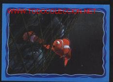 Coleccionismo cromos antiguos: disney pixar-cromo buscando a nemo n&ordm;. 186 - Foto 1