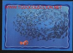Coleccionismo cromos antiguos: disney pixar-cromo buscando a nemo n&ordm;. 108 - Foto 1