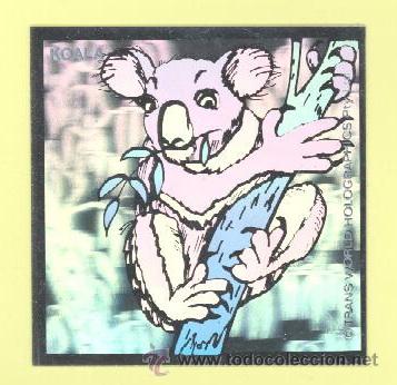 Coleccionismo cromos antiguos: Koala - Fantastickers - PANINI - Foto 1
