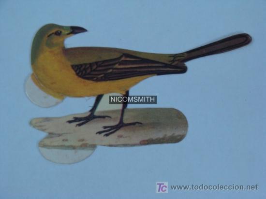 Coleccionismo cromos antiguos: Cromo de Pajaros Panrico - LAVANDERA BOYERA - Foto 1