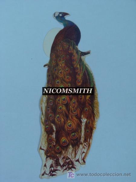 Coleccionismo cromos antiguos: Cromo De Pajaros Panrico - PAVO REAL - Foto 1