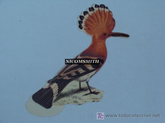 Coleccionismo cromos antiguos: Cromo De Pajaros Panrico - ABUBILLA - Foto 1