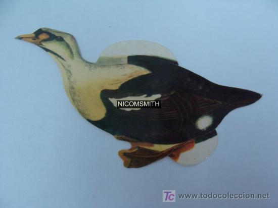 Coleccionismo cromos antiguos: Cromo De Pajaros Panrico - EIDER REAL - Foto 1
