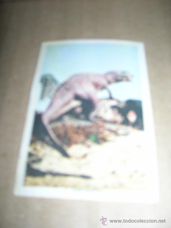 Collectable Antique Stickers: CROMO N&ordm; 4 CERATORAUSO. MIDE 5 X 7,2 CM., SIN PEGAR, VER FOTO.