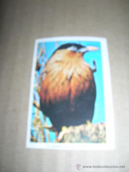 Coleccionismo cromos antiguos: CROMO N&ordm; 76 MART&Iacute;N DE LAS PAGODAS. MIDE 5 X 7,2 CM., SIN PEGAR, VER FOTO.
