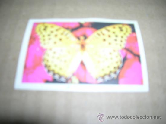 Coleccionismo cromos antiguos: CROMO N&ordm; 109. MARIPOSA NACARADA - MIDE 7,2 X 5 CM., SIN PEGAR, VER FOTO.