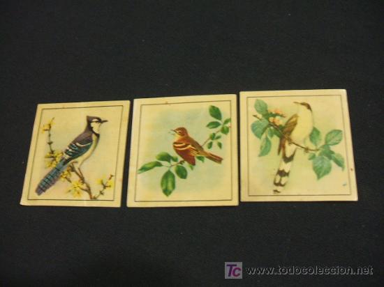 Coleccionismo cromos antiguos: LOTE 3 CROMOS - PAJAROS - - Foto 1
