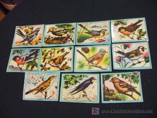 Coleccionismo cromos antiguos: LOTE 10 CROMOS - PAJAROS - - Foto 1