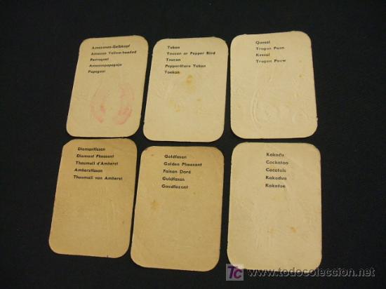 Coleccionismo cromos antiguos: LOTE 6 CROMOS - PAJAROS - - Foto 2