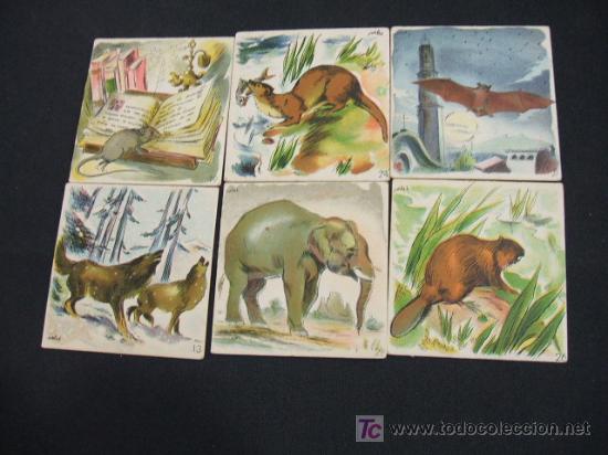 Coleccionismo cromos antiguos: LOTE 6 CROMOS - ANIMALES - - Foto 1