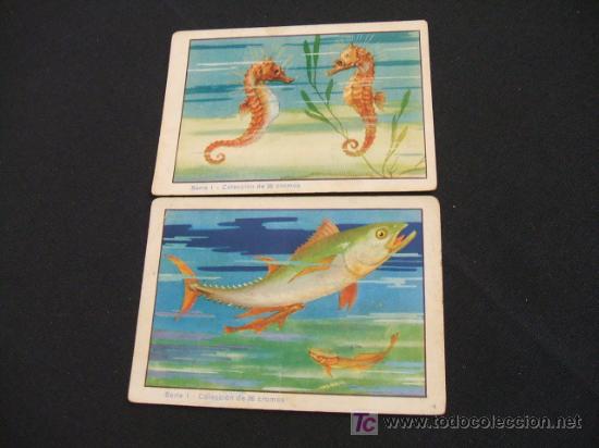 Colecionismo Cromos antigos: LOTE 2 CROMOS - HISTORIA NATURAL - SABONS PUIGDOLLES -