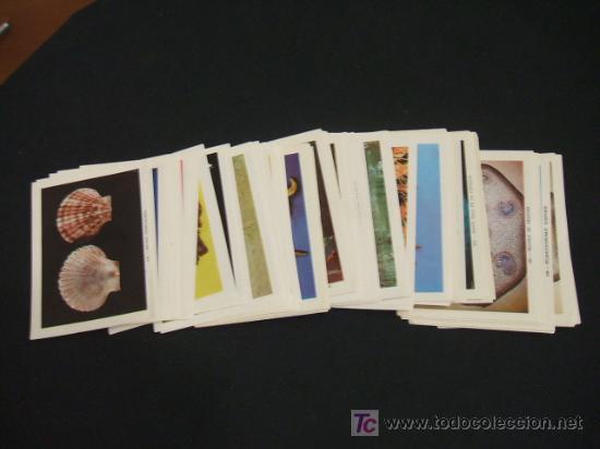 Collezionismo Figurine antiche: LOTE 70 CROMOS - FOTO-CIENCIAS - EDIC. KEISA - SUELTOS A 1,5 EUROS UNIDAD -