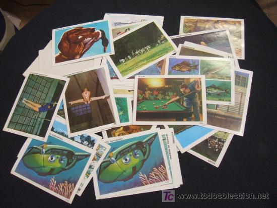 Coleccionismo cromos antiguos: LOTE 43 CROMOS - - Foto 1