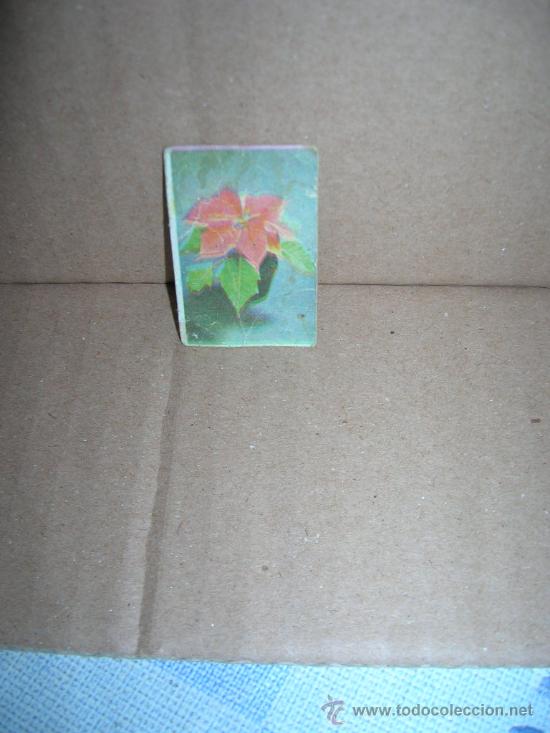Coleccionismo cromos antiguos: Flor estrella de navidad. - De carton, mide 3 x 4,5 cm., ver foto..
