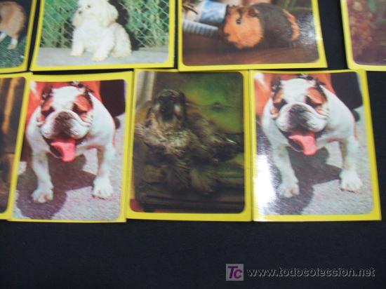 Coleccionismo cromos antiguos: LOTE 44 CROMOS DE ANIMALES - - Foto 14