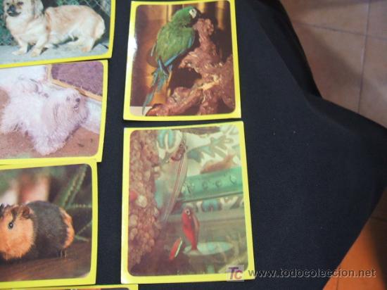 Coleccionismo cromos antiguos: LOTE 44 CROMOS DE ANIMALES - - Foto 15