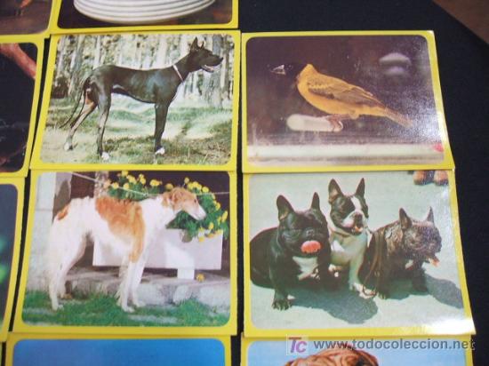 Coleccionismo cromos antiguos: LOTE 44 CROMOS DE ANIMALES - - Foto 6