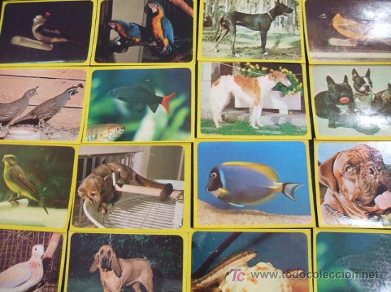 Coleccionismo cromos antiguos: LOTE 44 CROMOS DE ANIMALES - - Foto 1