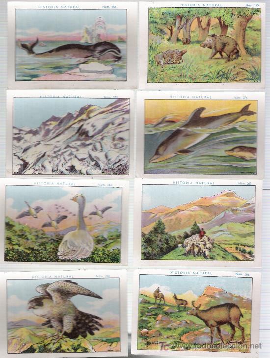 Coleccionismo cromos antiguos: Lote de 16 cromos (7x10) Chocolate Juncosa. - Foto 1