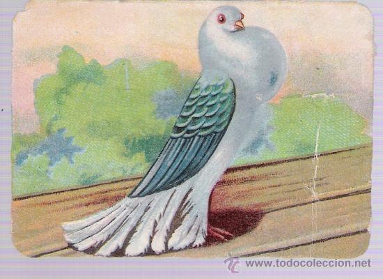 Coleccionismo cromos antiguos: Cromo (6x8,5) Kaffen Hansteen. - Foto 1