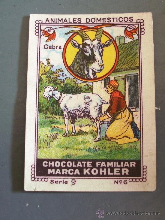 Collectionnisme Cartes &agrave; collectionner anciennes: cromo de la serie animales domesticos ,serie 9, chocolate familiar marca kohler