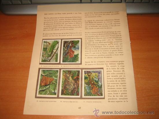 Colecionismo Cromos antigos: HOJA CON 6 CROMOS DEL ALBUM DE NESTLE  LAS MARAVILLAS DEL UNIVERSO TOMO ROJO