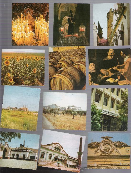 Coleccionismo cromos antiguos: Conocer Sevilla. Lote de 14 cromos. - Foto 1
